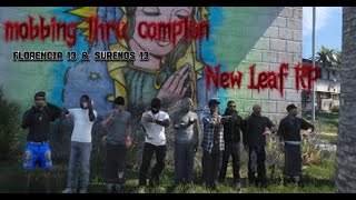 NLRP Florencia 13 and Surenos 13 MOBBING thru COMPTON [upl. by Llerahs]