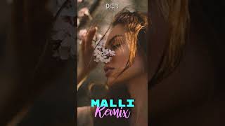 BUTRINT IMERI — MALLI DIER REMIX shorts albania [upl. by Irrabaj]