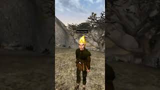 Killing the adoring fan in Morrowind every day until Skywind and Skyblivion are released Day  804 [upl. by Llechtim]