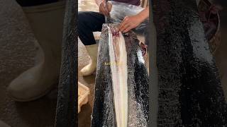 Awesome conger eel cutting [upl. by Xuerd]