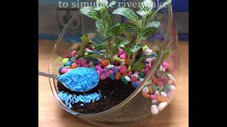 DIY 03 Create a simple open terrarium [upl. by Sinegra]