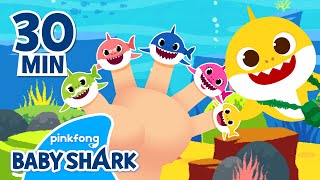 Shark Finger Family and More  Compilation  Baby Shark Songs  Baby Shark Official [upl. by Ahsenrat]