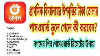 প্রাথমিক বিদ্যালয়ের উপবৃত্তির টাকা তোলার পাসওয়ার্ড ভূলে গেলে করণীয়nagad pin resetbd primary schools [upl. by Harriet714]