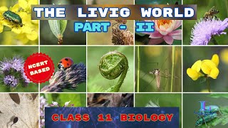 THE LIVING WORLD PART  II  CLASS 11 BIOLOGY  NCERT  COHSEM  CBSE [upl. by Louisette13]