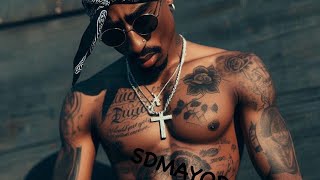 2pac  Betrayed By The Street  2024 HD [upl. by Sinegold]