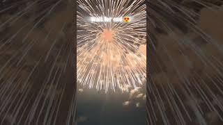 BIG SKY SHOT 💥 VIDEO  DIWALI STATUS 2024  shorts [upl. by Lira801]