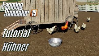 LS19 Hühner Tutorial  für Einsteiger [upl. by Yelahc]