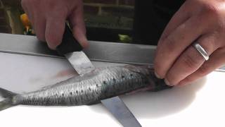 Passionate About Fish  How to prepare Sardines [upl. by Ramled]