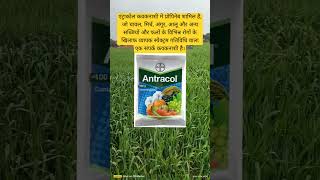 antracol contact fungicide। propineb। [upl. by Yerdna]