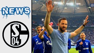 Tedesco muss Trainer bleiben Warum Schalkes Vorbild Gladbach sein muss [upl. by Lawson377]