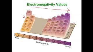 Using Electronegativity to Determine Bond Polarity [upl. by Moshe729]