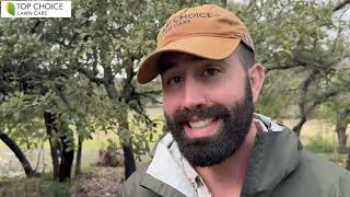 When to Prune Your Live Oak Trees [upl. by Rosalyn]