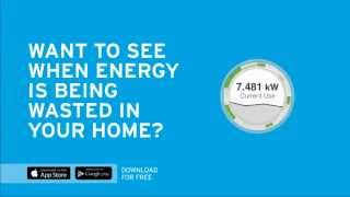 DTE Insight App and the Energy Bridge [upl. by Gavriella11]