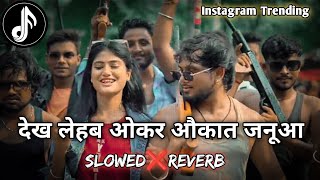 Dekh Lehab Okar Aukat Janua Lofi Song SlowedReverb Golu Gold Lofi Song  Instagram Viral Song [upl. by Anitsim]