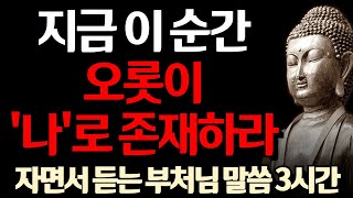 오롯이 나로 지금 이 순간을 살아라 l 불행의 원인은 생각이 너무 많아서이다 l 부처님 말씀 l 삶의 지혜 I 인생 조언 I 격언 I 오디오북 I 철학 l 불교 l 석가모니 [upl. by Aicitel]