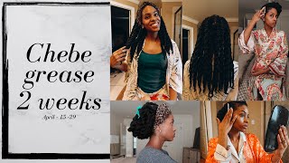 Unlock the Secret to Healthy Hair Using Chebe Grease for Natural Hair Growth [upl. by Cecilla]