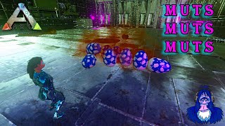 HOW TO GET COLOR AND STAT MUTATIONS  ARK MOBILE LIFE [upl. by Dysart299]