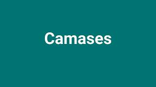 Camases Meaning and Pronunciation [upl. by Nyvek]