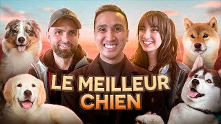 Compétition de la meilleure race de Chien ft EspritDog [upl. by Sualk]