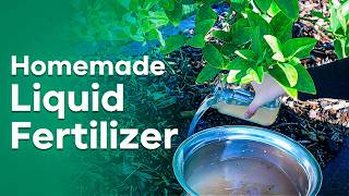 5 Easy Homemade Liquid Fertilizers from Kitchen Waste  DIY Liquid Fertilizers from Kitchen Waste [upl. by Phionna696]