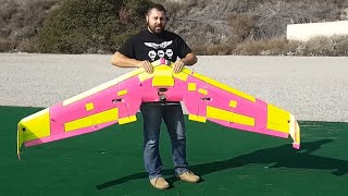 quotThe Hundoquot 100Inch RC Flying Wing [upl. by Dedric]