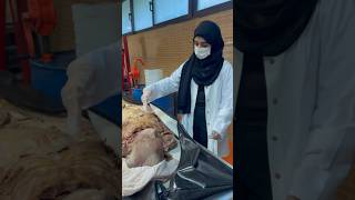 Seeing👀 the cadavers for the first time at Sbmu 🇮🇷 english iranmall vlog tehran youtube [upl. by Bret]