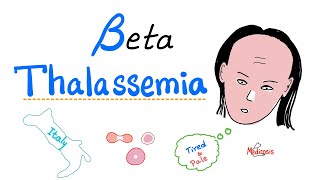 Beta Thalassemia  Causes and Types  minor Major amp Intermedia  Hematology [upl. by Bauer]