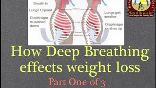 1 How Deep Breathing Effect Weight Loss Part 1 of 3 [upl. by Nylhtac365]