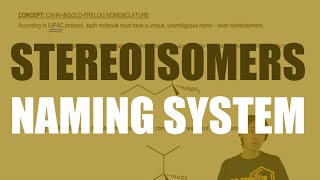 Why stereoisomers need their own naming system [upl. by Ykvir458]