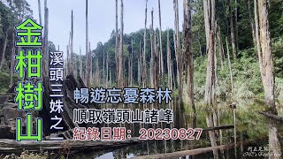 金柑樹山下忘憂森林台灣小百岳、溪頭三姝之一、順取嶺頭山諸峰，FP2041 [upl. by Vanderhoek]