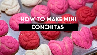 The Best CONCHAS Recipe Homemade conchas easy Pan Dulce recipe Conchas Mexicanas [upl. by Aowda235]