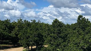 Huertas Magaña está en vivo último día de Octubre [upl. by Ebner569]