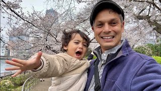 Cherry Blossoms on Tokyo’s River with Leo [upl. by Elma]