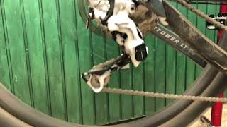 Degreasing a chain in 60 seconds [upl. by Assilak]