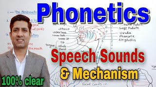 Organs of Speech  Speech Mechanism  Phonetics  organs of speech in english [upl. by Donny]