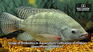 Usage of Probiotics in Aquaculture Cultivation of Tilapia Oreochromis niloticus [upl. by Aubarta]