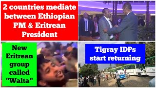 2 countries mediate between Ethiopian PM amp Eritrean President New Eritrean group Walta Tigray IDPs [upl. by Eiramassenav]