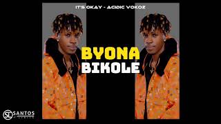 Acidic Vokoz  Its Okay Official Lyrics Video [upl. by Ainelec]