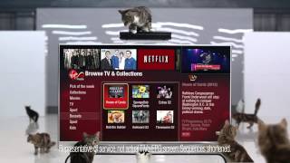 Virgin Media David Tennant TiVo Netflix Cat Ad [upl. by Brigida]