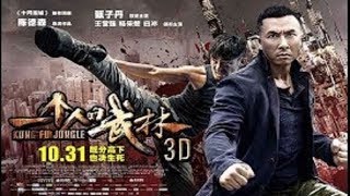 2019 Chinese Latest ACTION movies  2019 Chinese New movies  Best Chinese Movies [upl. by Enneibaf]