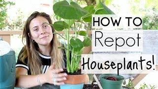 How To Repot Houseplants  Repotting Houseplants [upl. by Meeharbi]