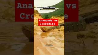 Anaconda vs crocodile [upl. by Merrile934]