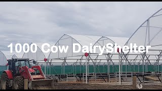 1000 Cow Redpath Dairyshelter new Build [upl. by Guenna]