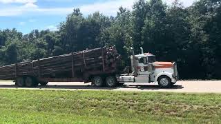 Western Star logging truck Kenworth W900 day cab logging truck [upl. by Enyamert627]