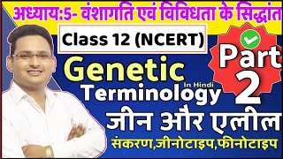 Genetic Terminology Full Explained In Hindi  Biology Class 12 Chapter 5  Gene vs Allele  Alleles [upl. by Yelich]