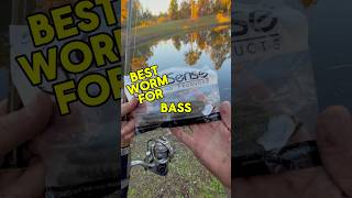 This Worm Catches Every Bass shorts bassfishing [upl. by Nibot414]