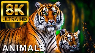 TOP 50 BEAUTIFUL ANIMALS  4K HDR 120fps Dolby Vision with Animal Sounds Colorfully Dynamic [upl. by Bautram]