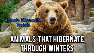 Top 10 Animals that Hibernate through Winters  Animal Hibernation Period during Winters [upl. by Rahab]