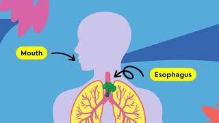 Digestive system and its parts [upl. by Riedel]