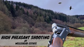 High Pheasant Shooting  Wellshead Estate  Exmoor Shoot [upl. by Livia]